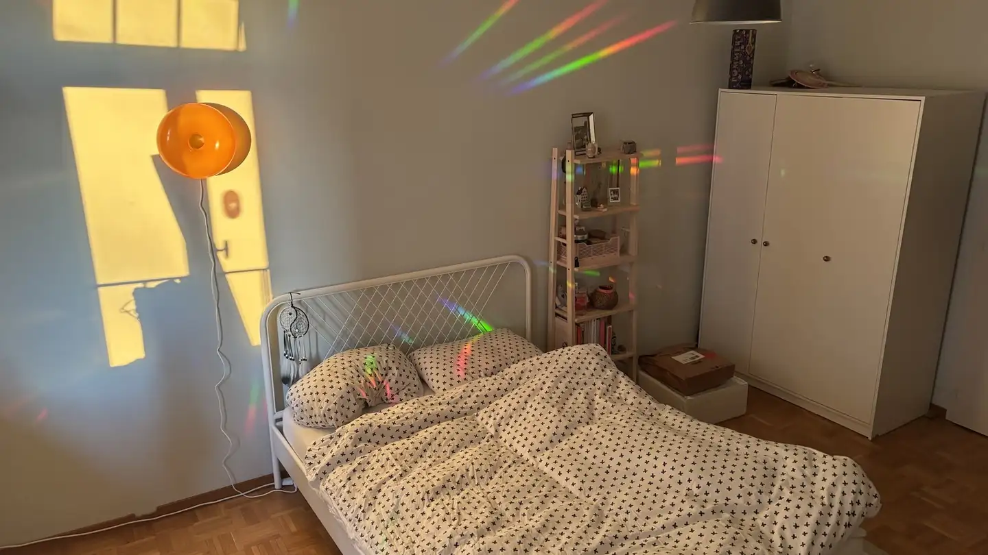 Chambre à louer - 8055 Zürich - Photo 4