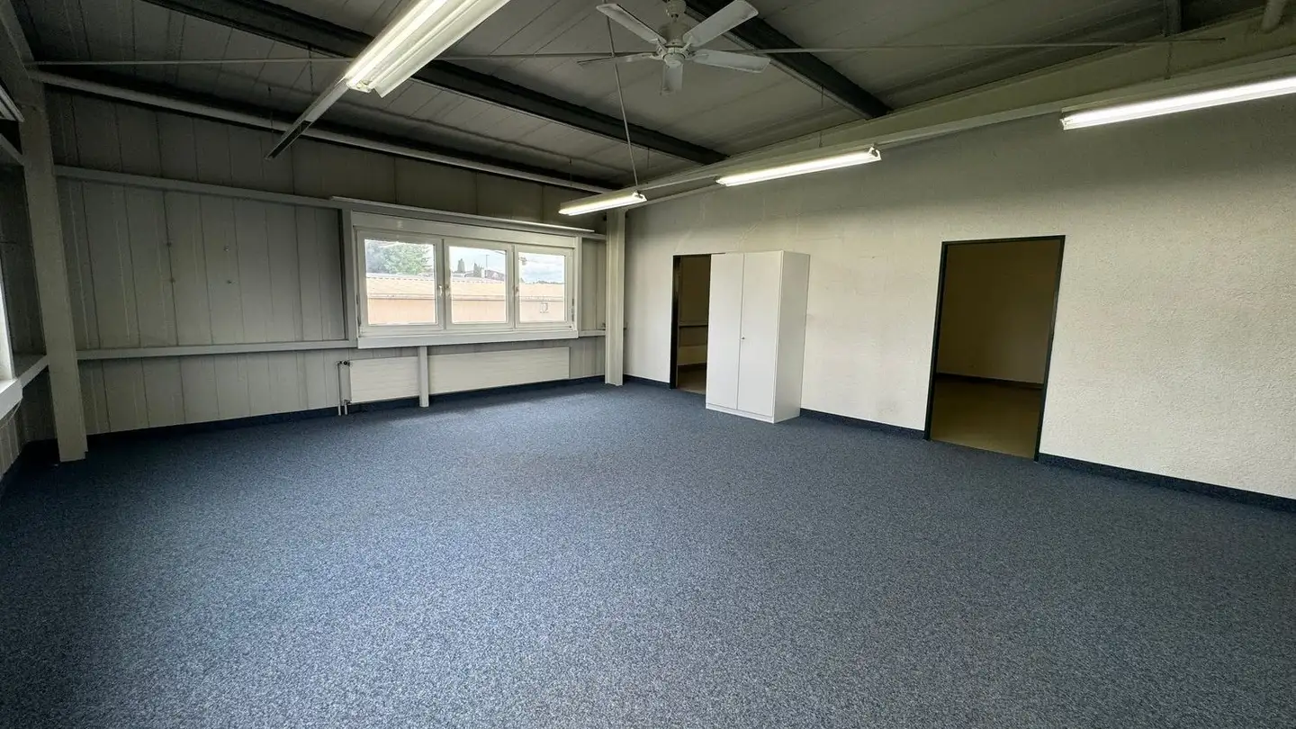 Commerciale in affitto - Ziegeleistrasse 3, 8254 Basadingen - Photo 2