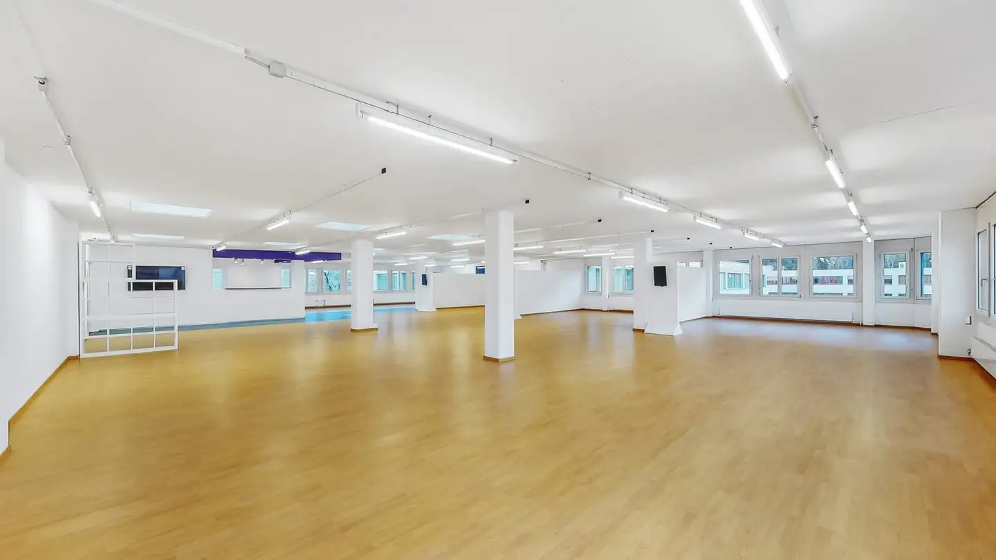 Commercial for rent - 6573 Magadino