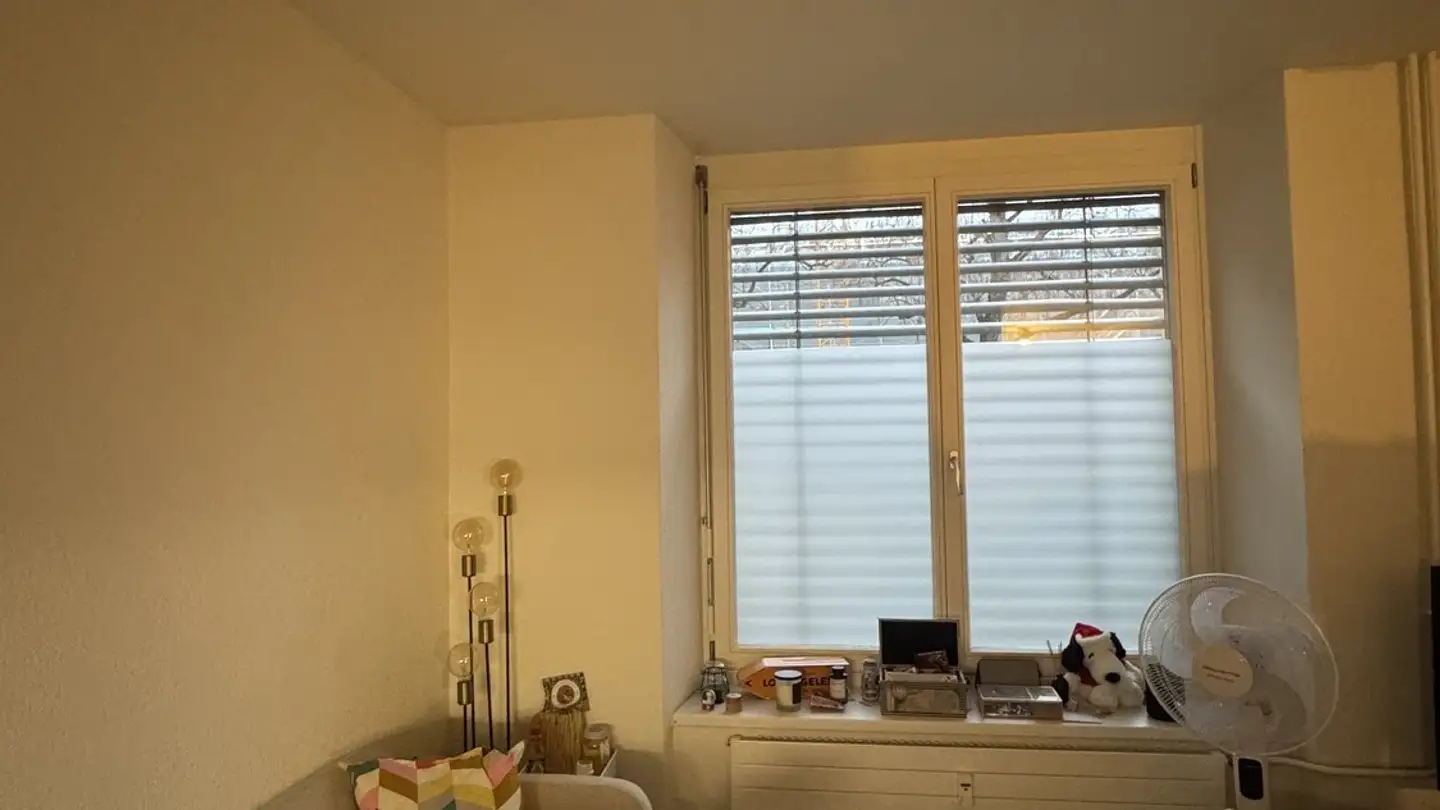 Appartamento in affitto - 8003 Zürich