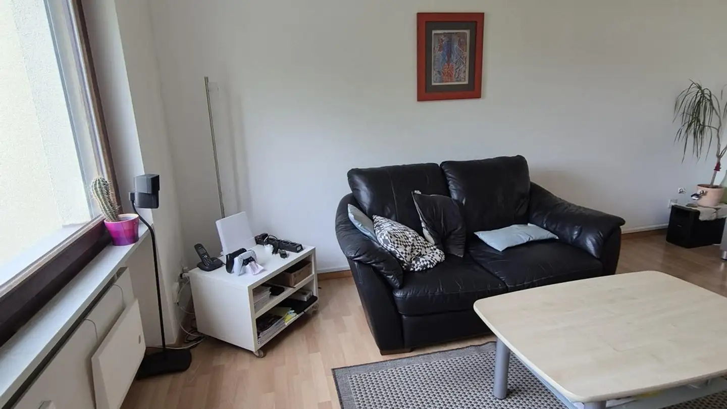 Appartamento in affitto - Grienmattweg 25, 4450 Sissach - Photo 2