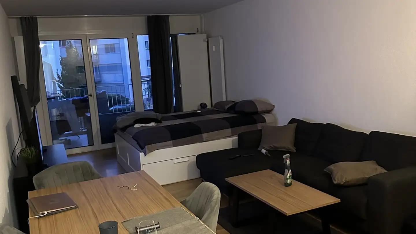 Furnished apartment for rent - Dohlenweg 30, 8050 Zürich