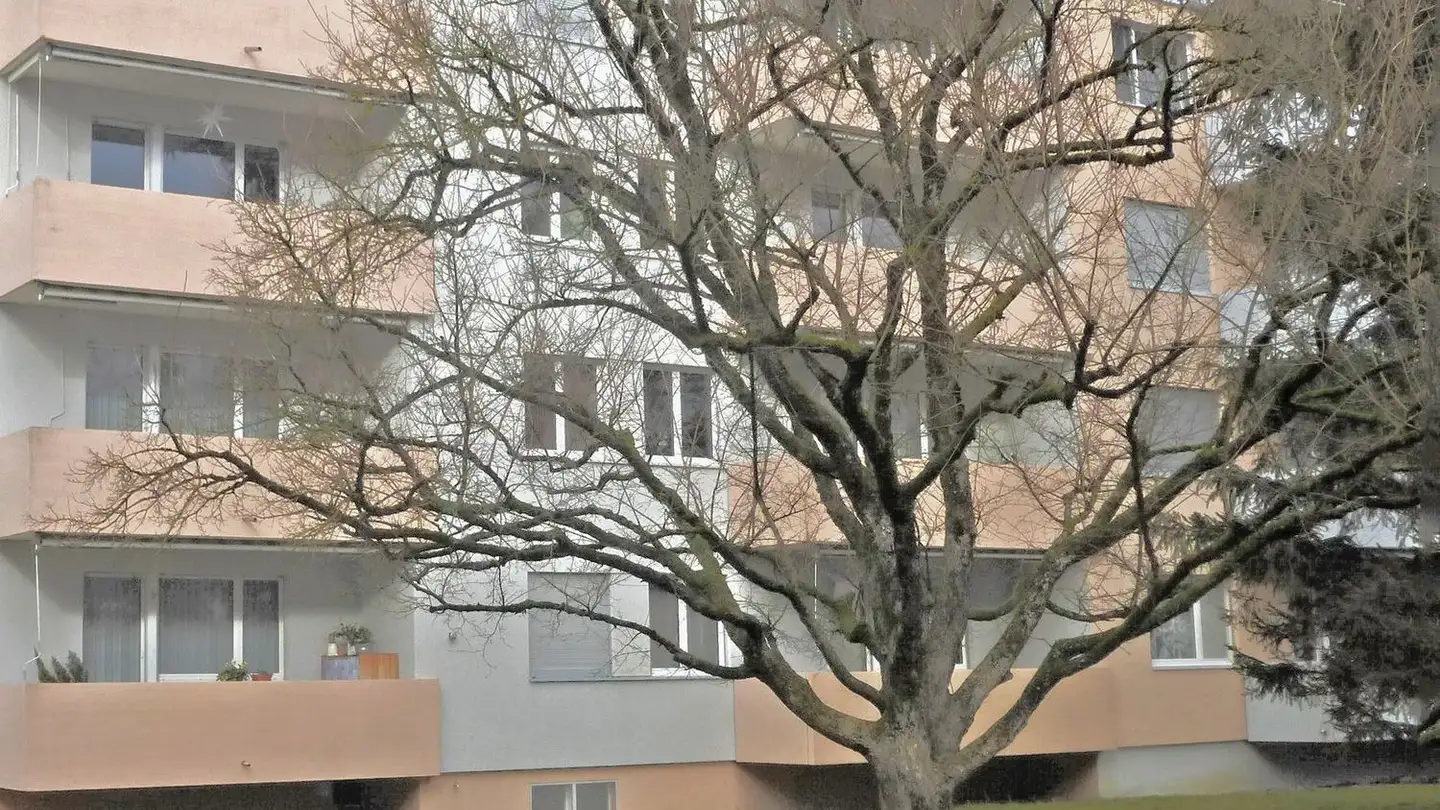 Appartement à louer - Langackerweg 7, 8155 Niederhasli - Photo 2