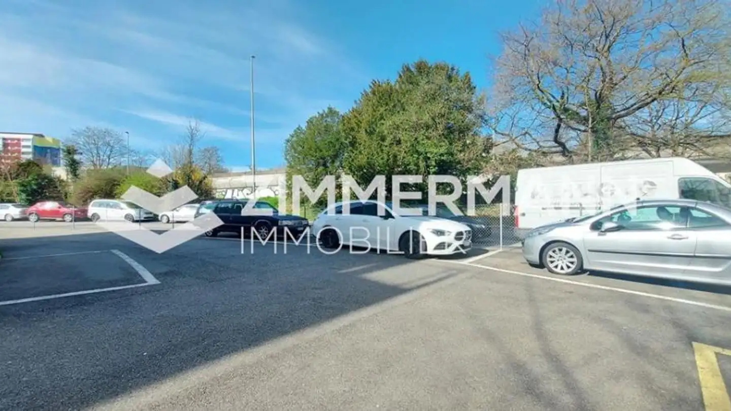 Place de parking extérieure à louer - Rue Jean- Simonet, 1219 Châtelaine - Photo 3