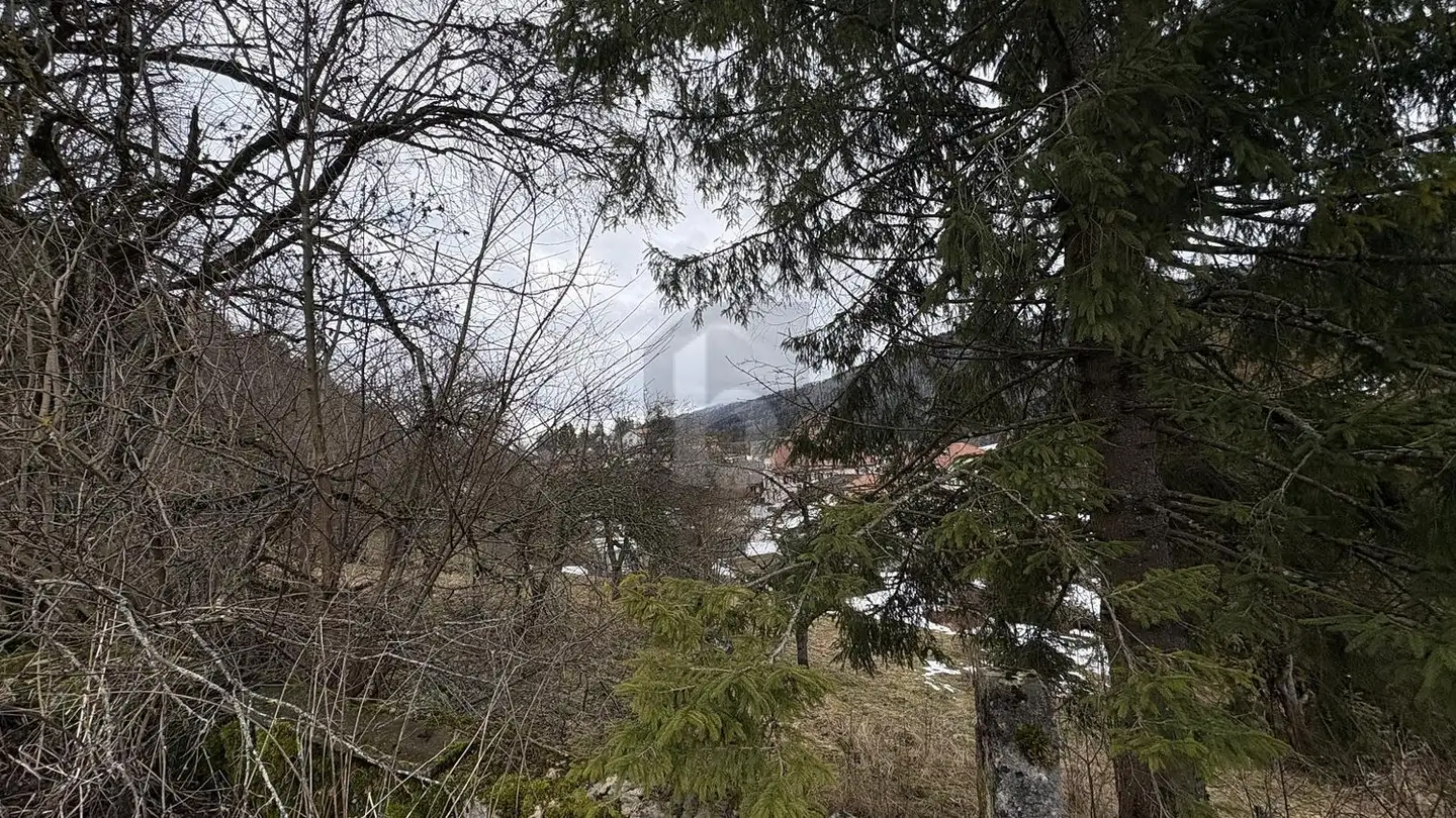 Terreno edificabile commerciale in vendita - 2615 Sonvilier - Foto 3