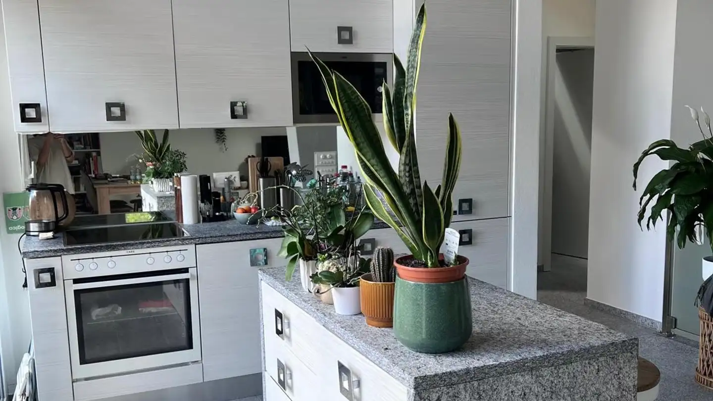 Appartement à louer - 6527 Lodrino