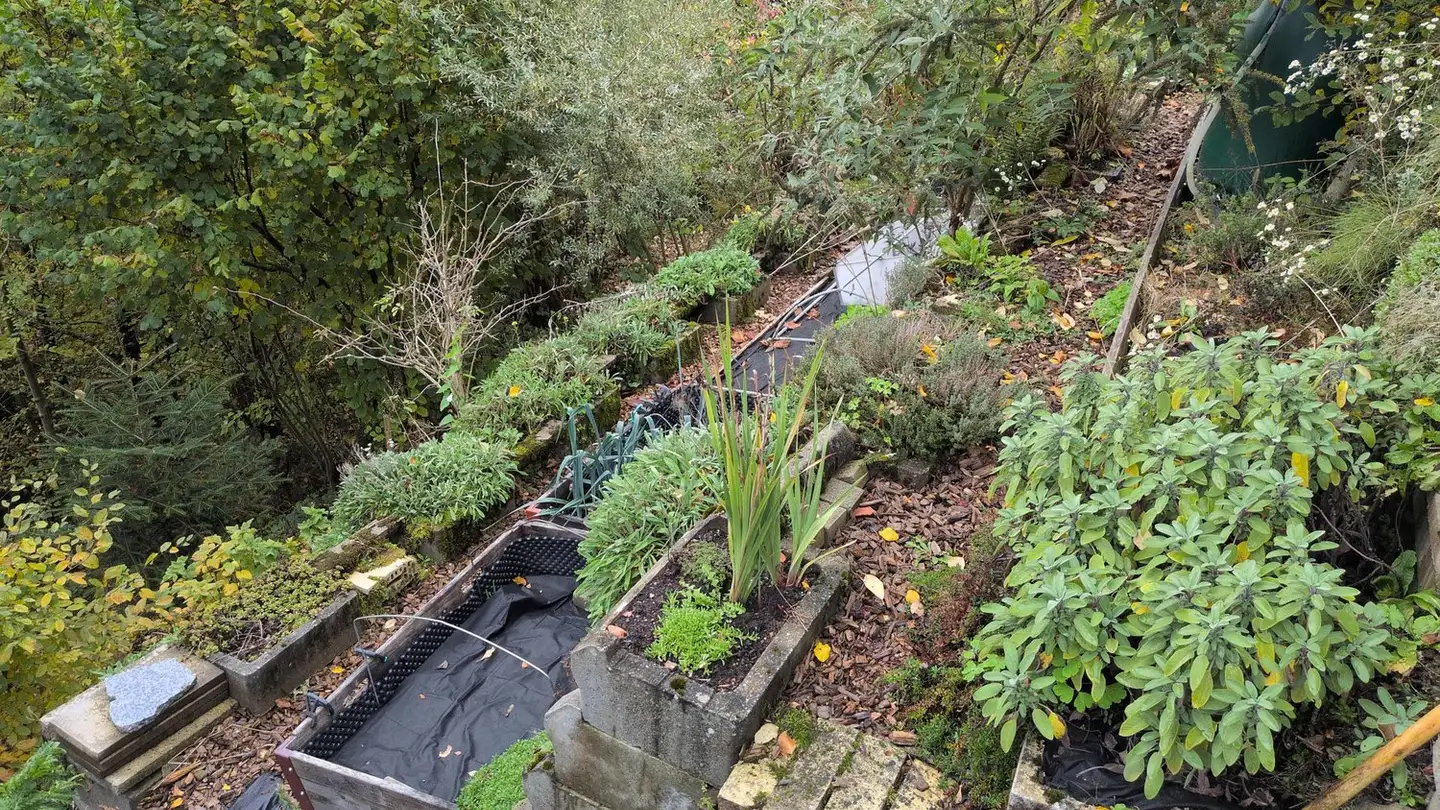 Casa singola in vendita - Haltenstrasse 124, 3145 Niederscherli - Photo 4