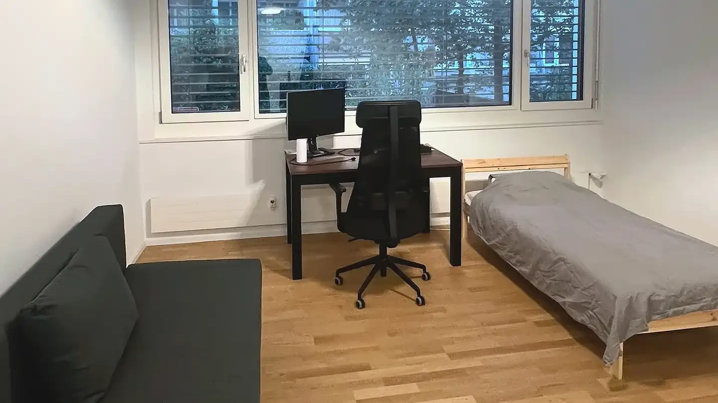 Furnished apartment for rent - Leuengasse 16, 4057 Basel