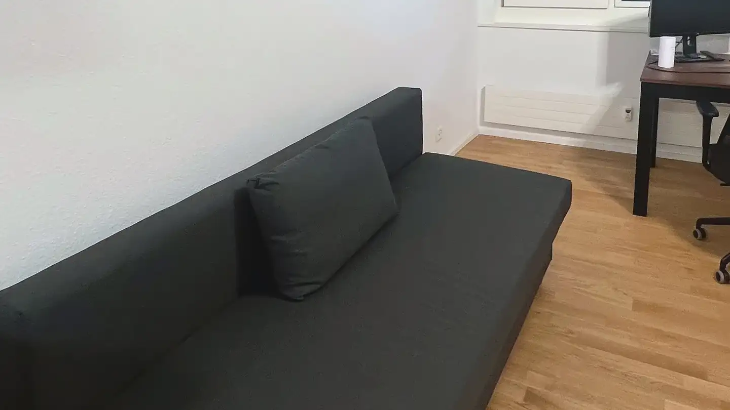 Furnished apartment for rent - Leuengasse 16, 4057 Basel - Photo 2