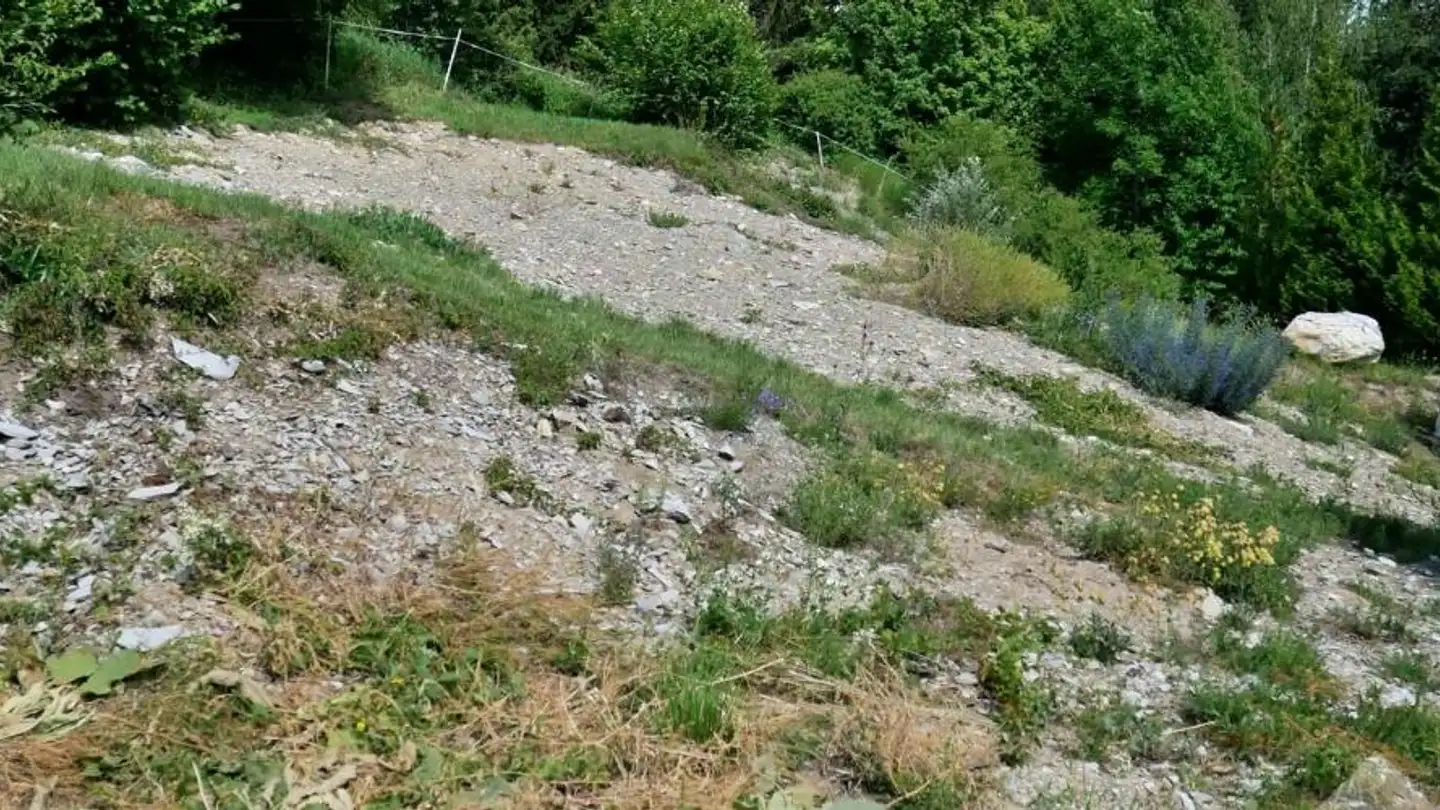 Bauland kaufen - Garen, 3953 Leuk Stadt - Foto 2
