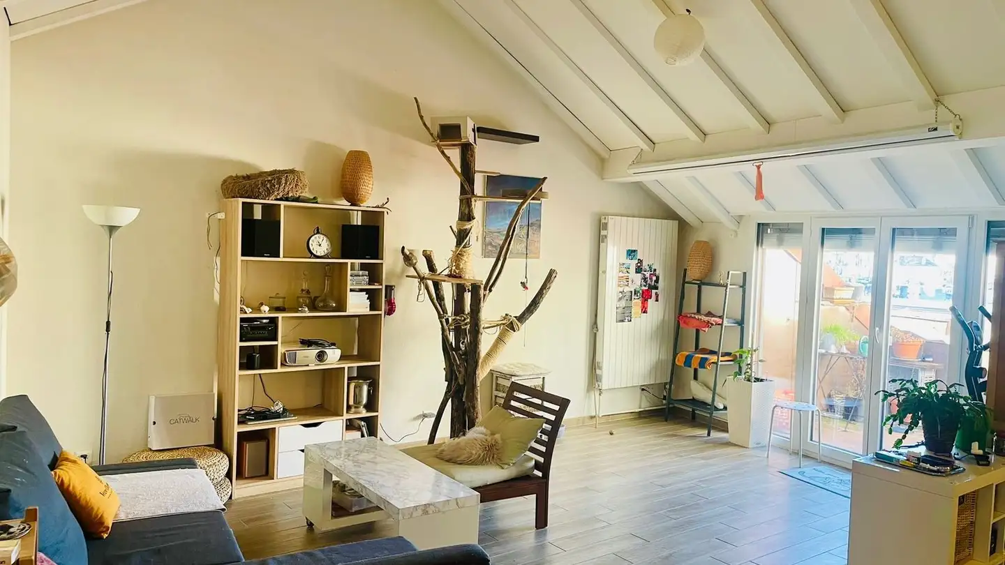 Appartamento in affitto - Rue Du Petit-Saint-Jean 1, 1003 Lausanne