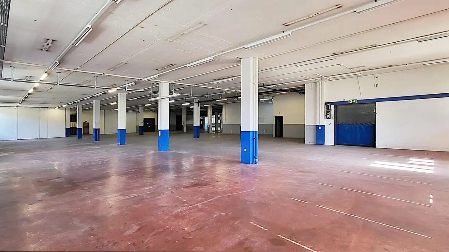 Commercial for rent - Gewerbestrasse 16, 8132 Egg b. Zürich