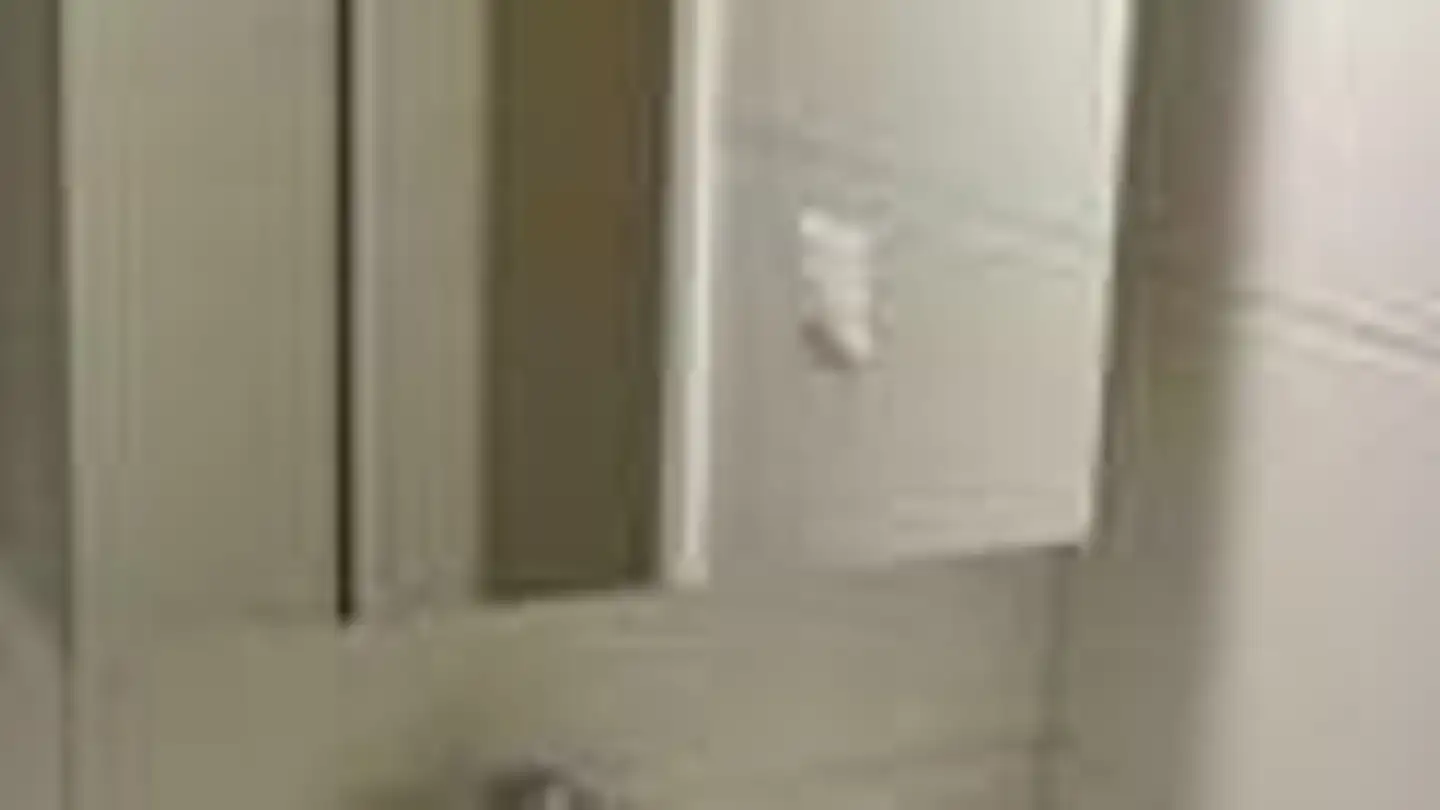 Wohnung mieten - Bäumlistrasse, 8404 Winterthur - Foto 4