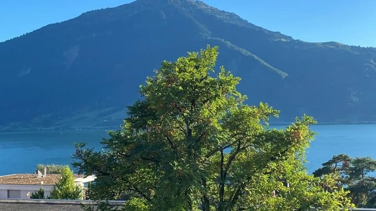 Apartment for rent - Dorfstrasse, 6318 Walchwil - Photo 2