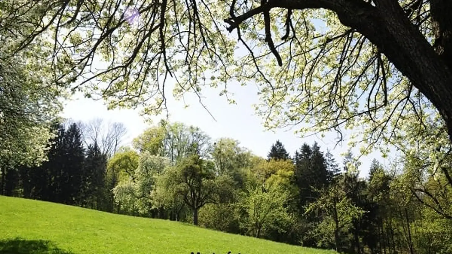 Bien immobilier à vendre - 6677 Moghegno