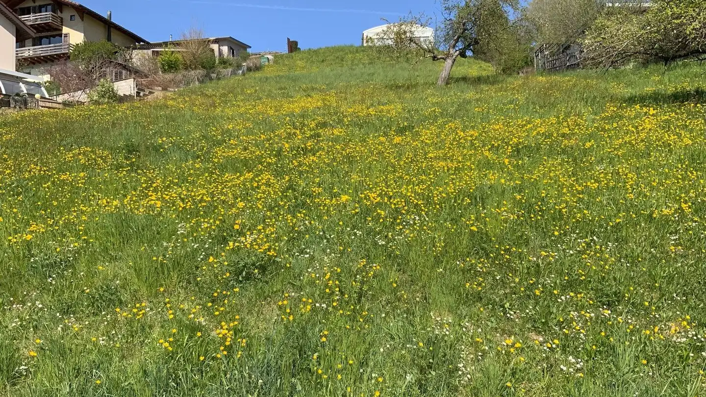 Terreno edificabile in vendita - Leh, 5079 Zeihen - Photo 2