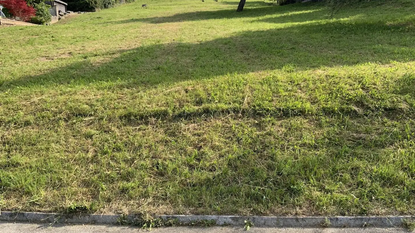 Terreno edificabile in vendita - Leh, 5079 Zeihen - Photo 3