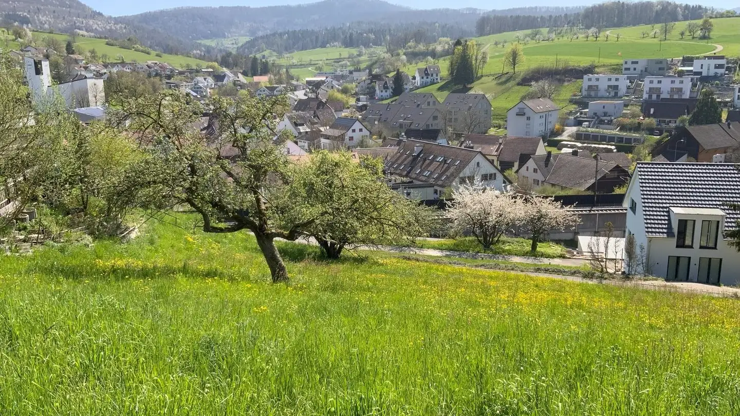 Terreno edificabile in vendita - Leh, 5079 Zeihen - Photo 4