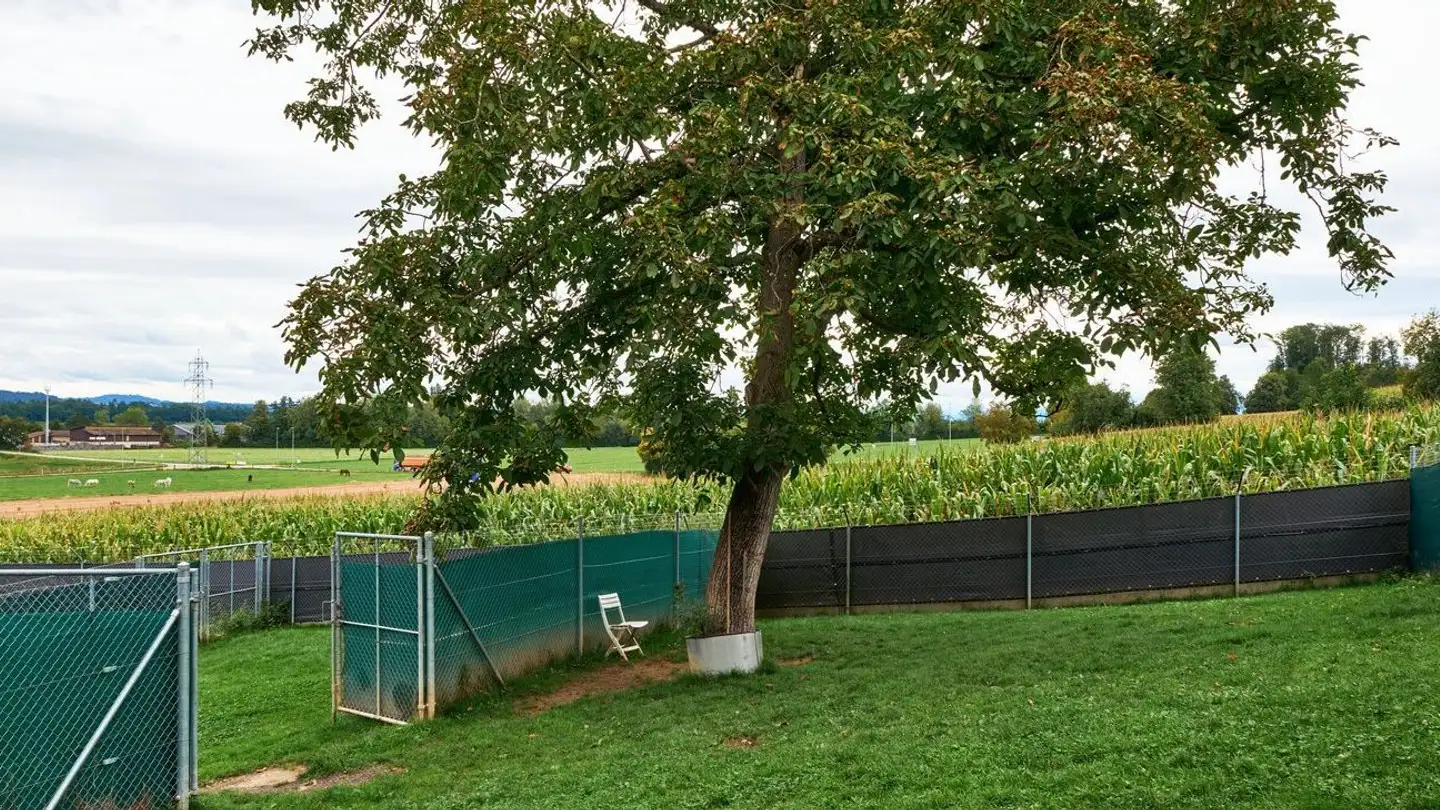 Edificio residenziale in vendita - Tobelacherweg 14, 5622 Waltenschwil - Photo 3