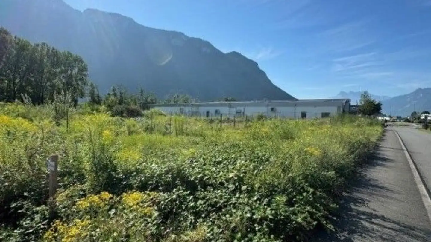 Constructible plot for sale - Chemin Pré Des Fourches, 1845 Noville