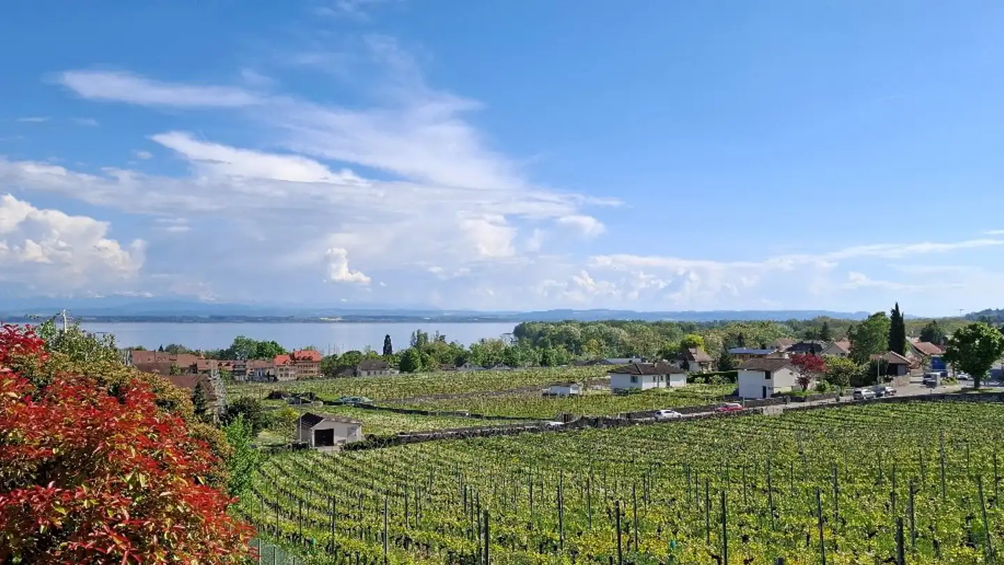 Apartment for sale - 2012 Auvernier - Photo 4