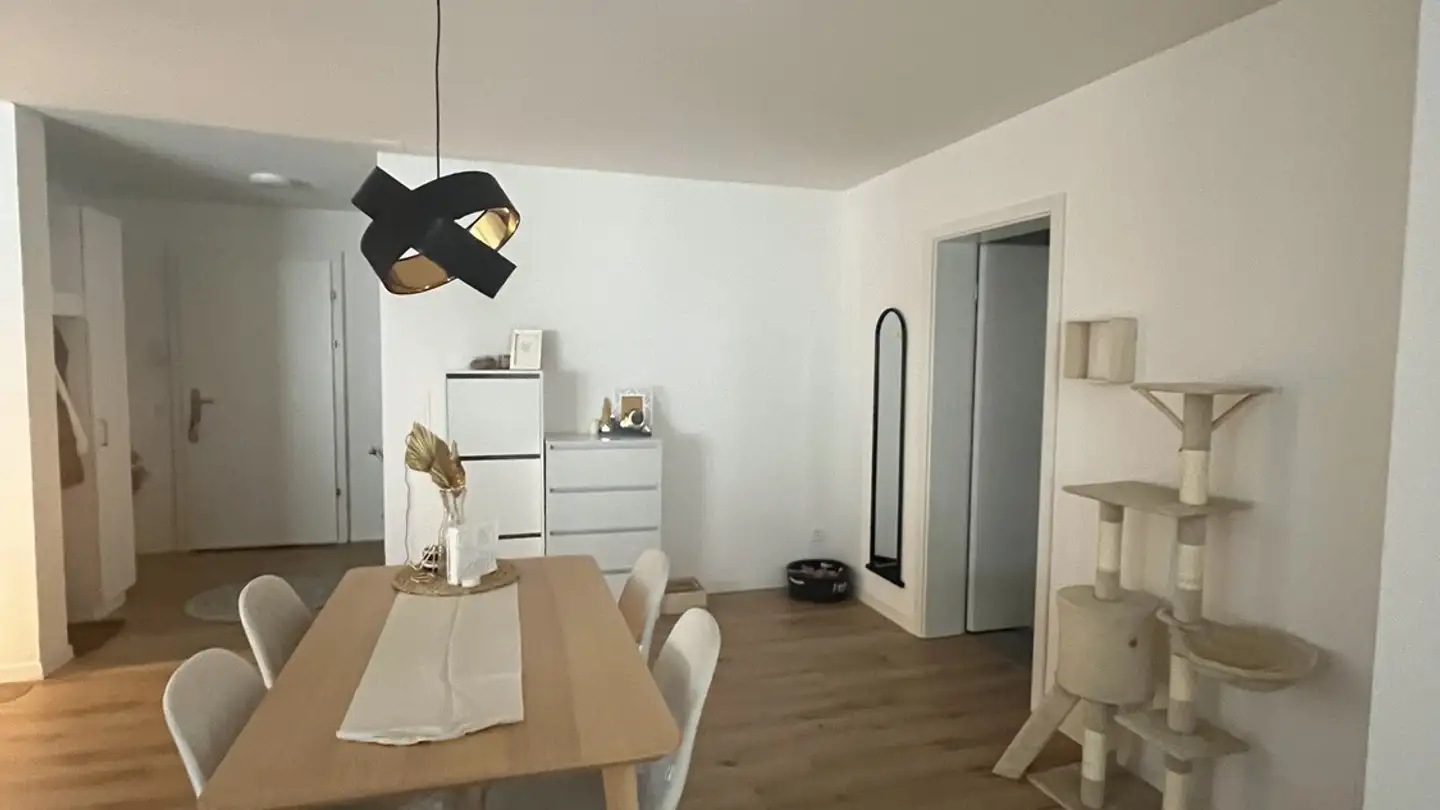 Appartamento in affitto - Grenzstrasse 13, 5737 Menziken