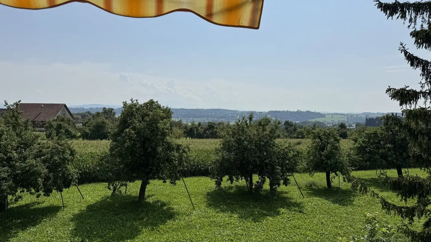 Appartamento in affitto - Buchstrasse 7, 8586 Kümmertshausen - Photo 4