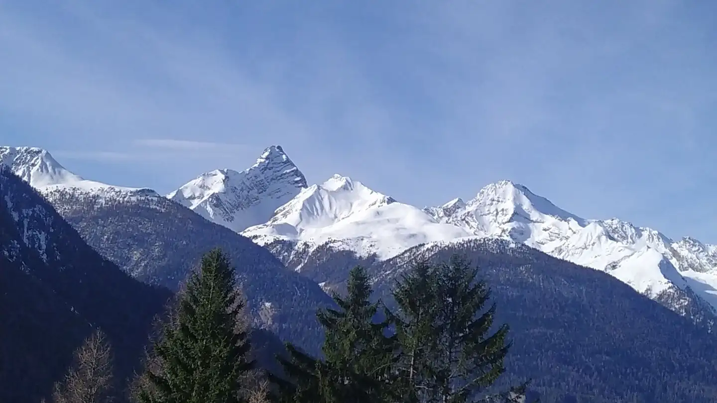 Appartement à vendre - Hauptstrasse 30, 7494 Davos Wiesen - Photo 3