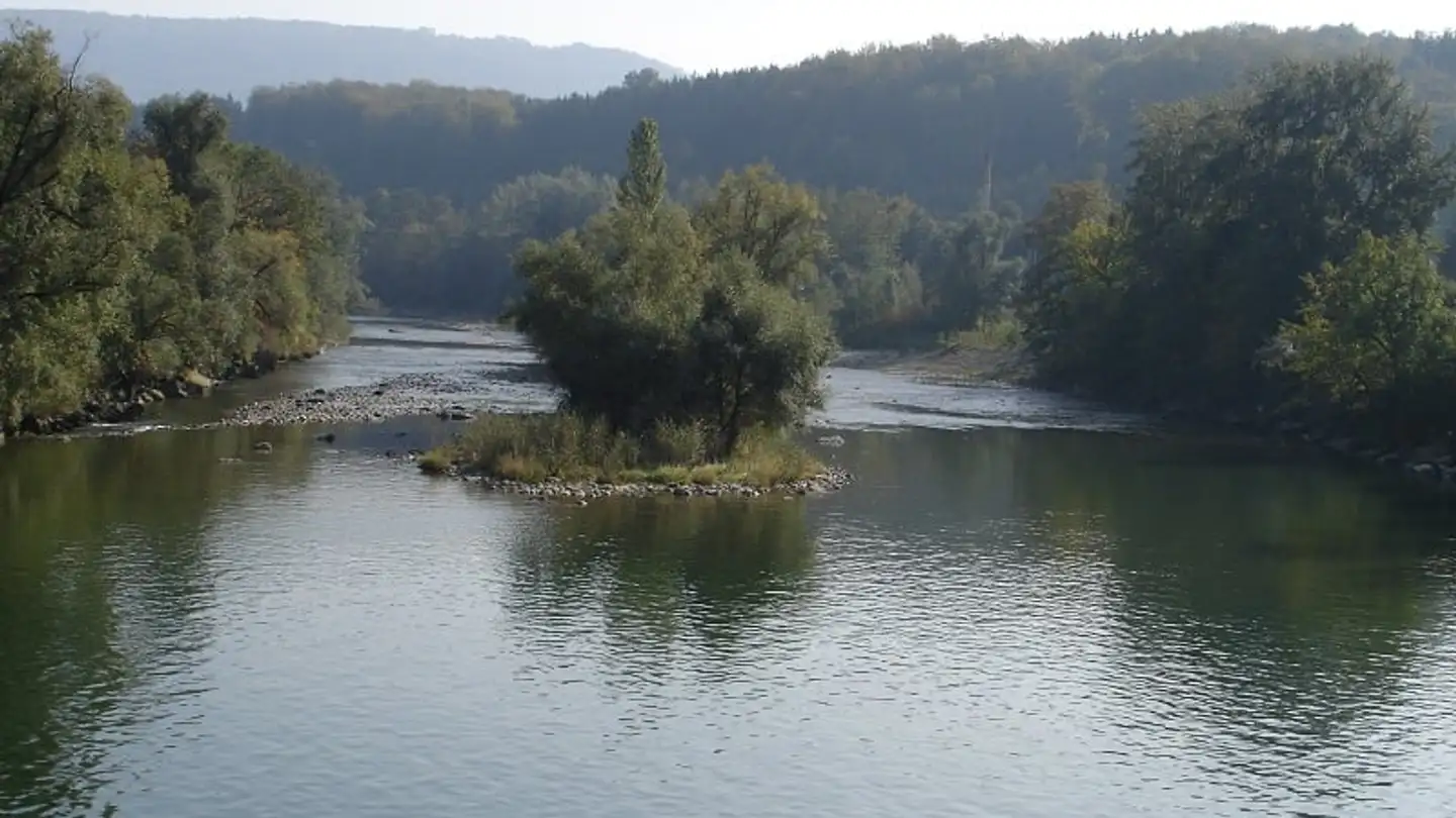 Grand magasin à vendre - 4657 Dulliken - Photo 2