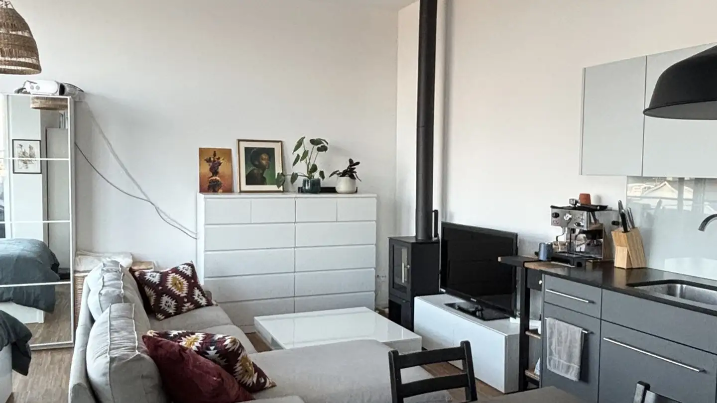 Appartement à louer - Schaffhauserstrasse 303, 8050 Zürich