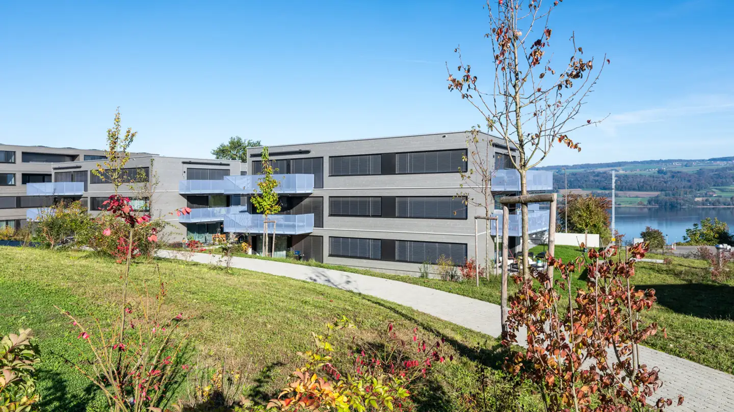 Appartamento in affitto - Widenmattstrasse, 5712 Beinwil am See