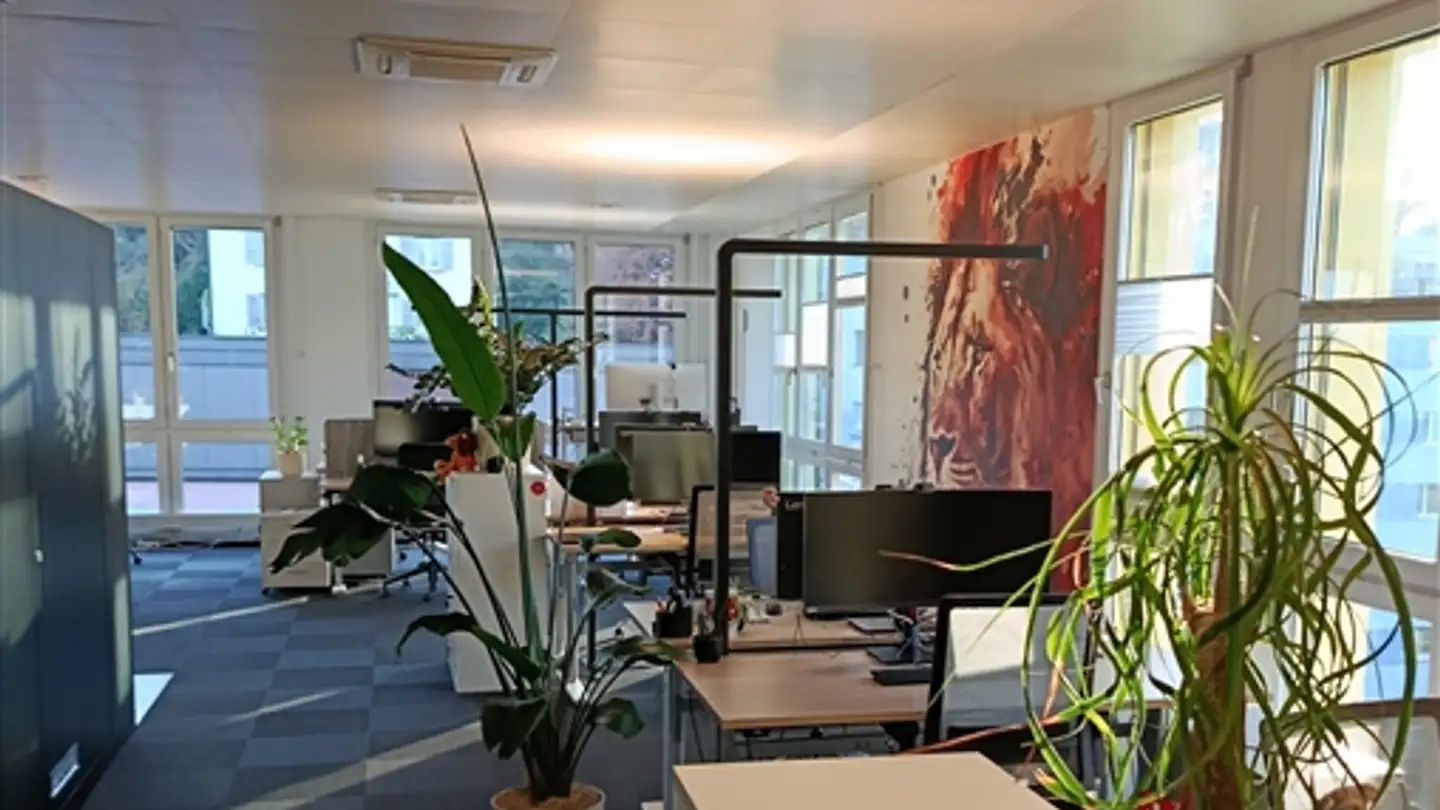 Appartamento in affitto - Maihofstrasse 1, 6004 Luzern - Foto 2