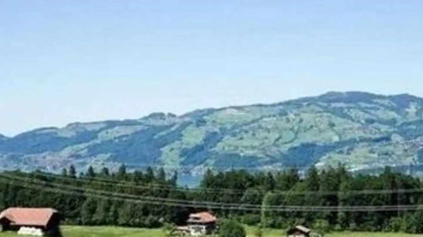 Apartment for sale - 3703 Aeschi b. Spiez - Photo 4