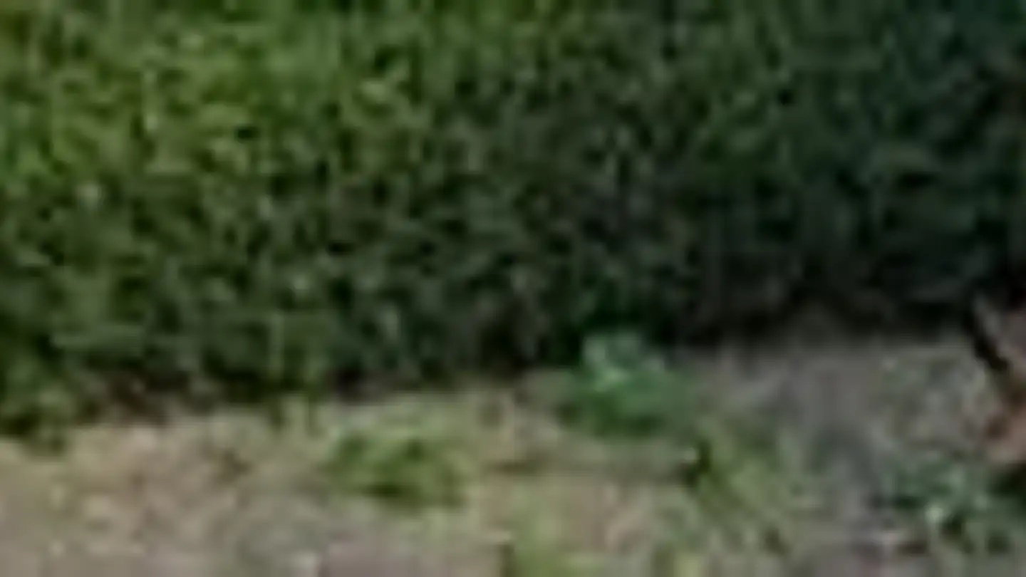 Appartement en terrasse à louer - Im Schachenhof 49, 8906 Bonstetten - Photo 2