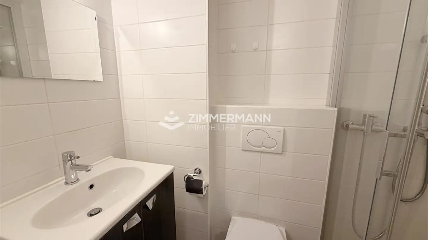 Furnished apartment for rent - Rue De Vermont, 1202 Genève - Photo 4