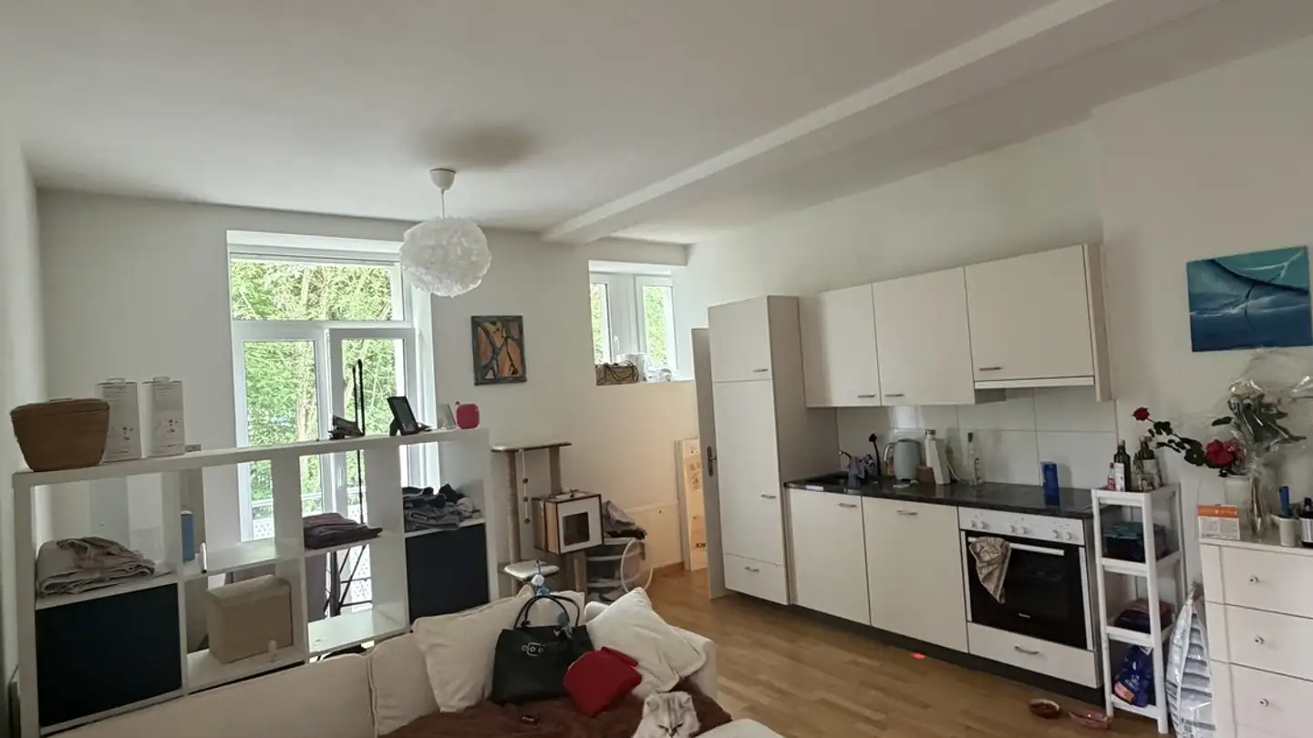 Appartamento in affitto - Weissensteinstrasse 45, 4500 Solothurn - Foto 2
