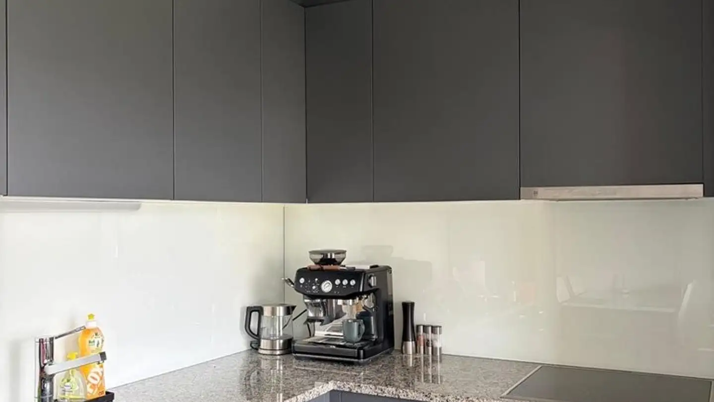 Appartamento in affitto - Meierackerstrasse 2, 8610 Uster - Foto 4