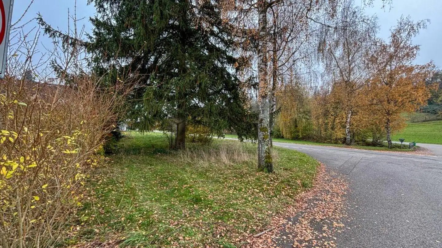 Maison individuelle à vendre - 5075 Hornussen - Photo 4