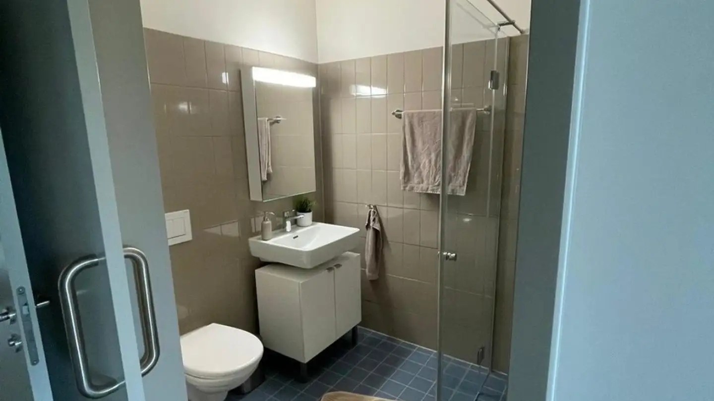 Chambre à louer - 8952 Schlieren - Photo 4