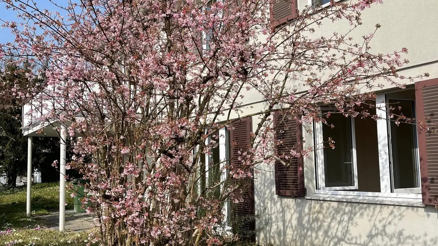 Einfamilienhaus mieten - Im Spitzacker 10, 8172 Niederglatt ZH - Foto 2
