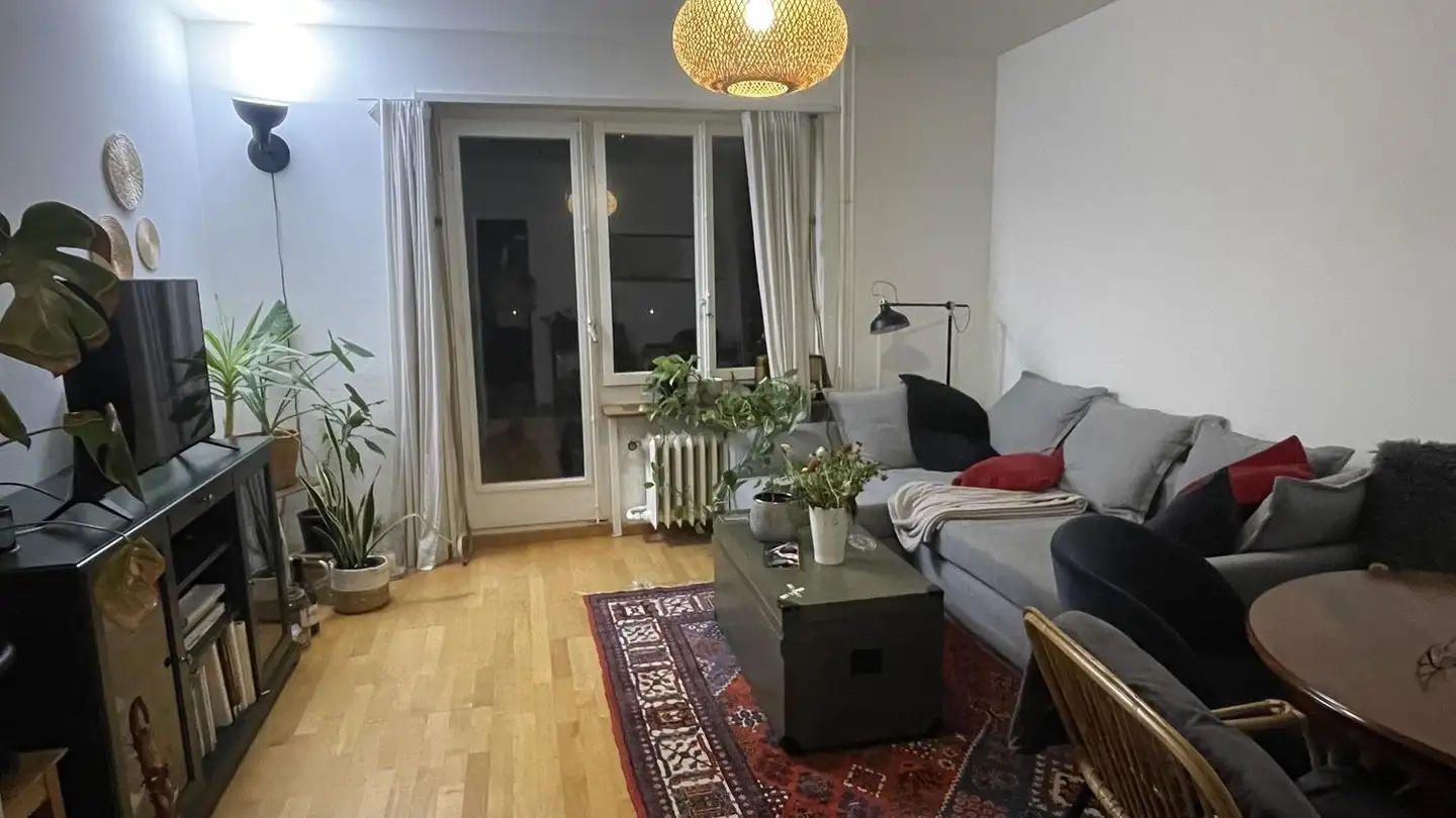 Chambre à louer - Manessestrasse, 8045 Zürich - Photo 3