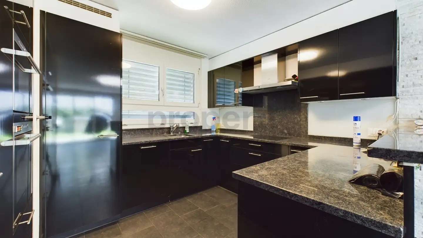 Casa singola in affitto - 8952 Schlieren - Foto 2