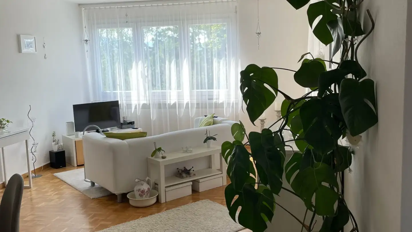 Appartement à louer - Fliederstrasse 19, 4800 Zofingen - Photo 3