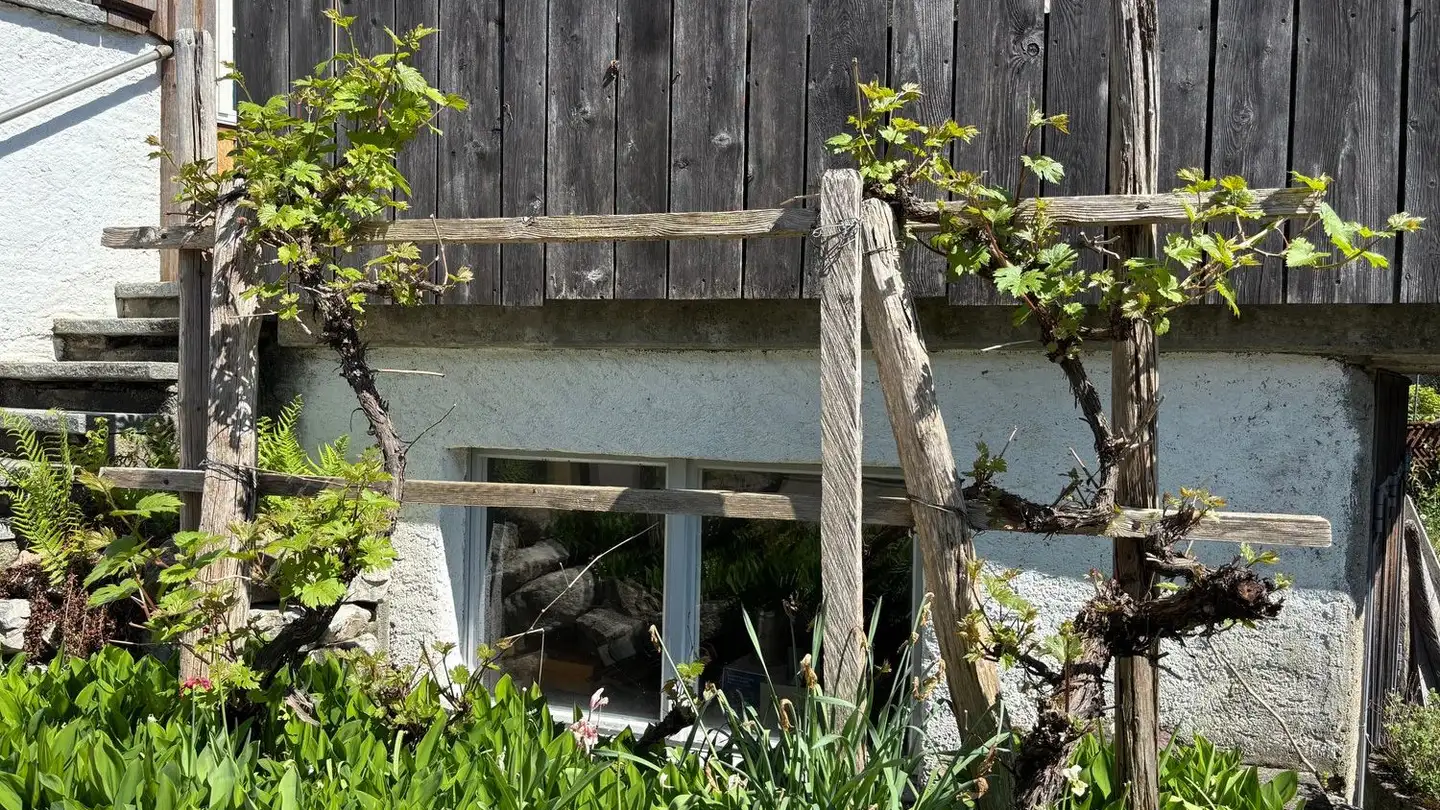 Casa singola in vendita - Dorfstrasse 2, 8165 Oberweningen - Foto 3