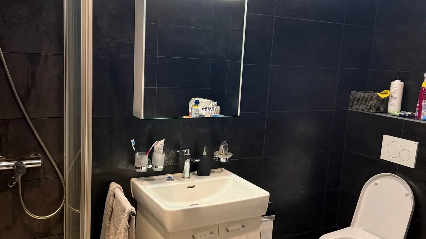 Wohnung mieten - Via Al Ticino 30, 6514 Sementina - Foto 3