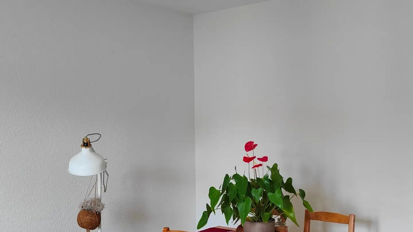 Apartment for rent - 8051 Zürich - Photo 4