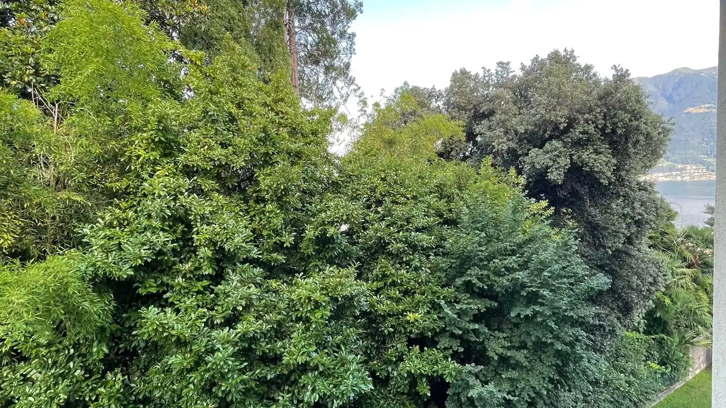 Appartamento in vendita - Via Rinaldo Simen, 6648 Minusio - Photo 2