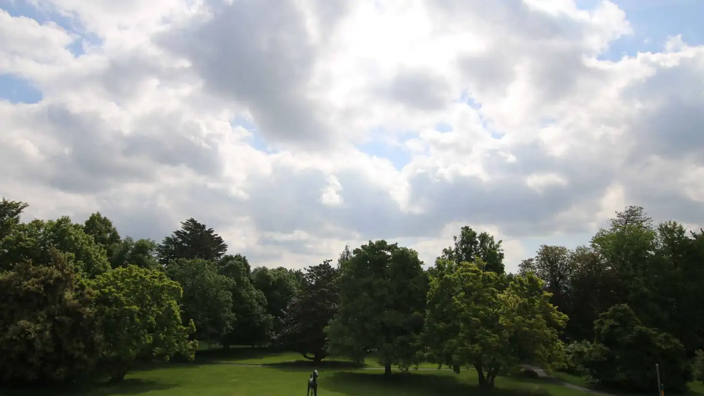 Apartment for rent - Rue De Lausanne 107, 1202 Genève - Photo 2
