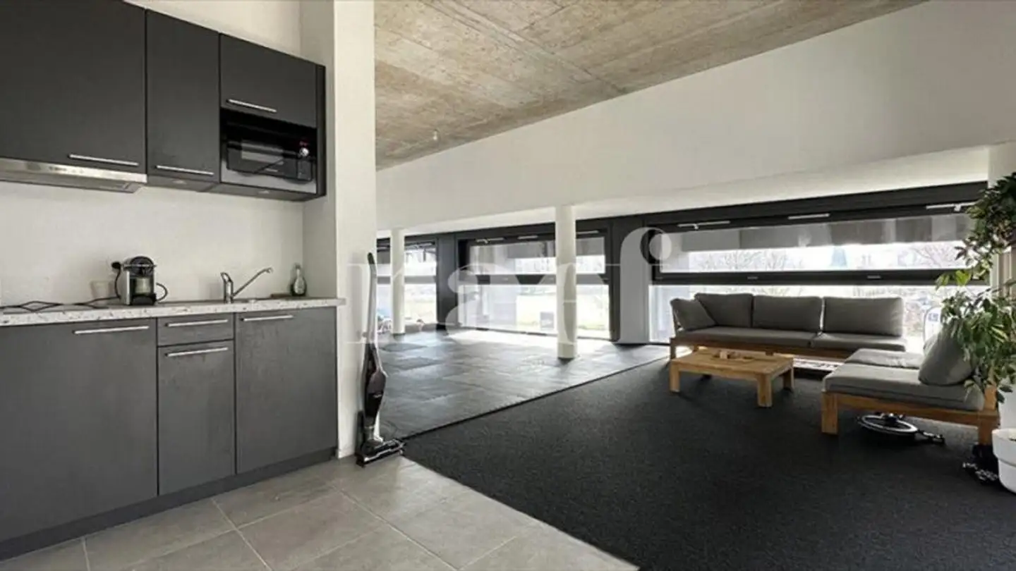 Negozio in affitto - Chemin Falconnier 1, 1260 Nyon