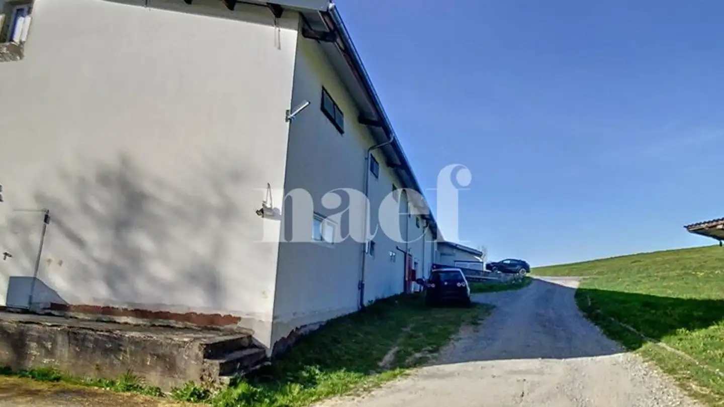 Edificio ad uso misto in affitto - Chemin Planches À Michoud 10, 1072 Forel (Lavaux) - Photo 4